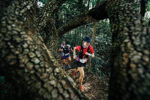 BIB: 
                            <button type="button" onclick="openModal(25392302)" class="btn btn-primary btn-sm float-right btn-popup" data-toggle="modal" data-target=".modal-high-quality">
                        <i class="fas fa-shopping-cart"></i> Add to Cart
                    </button>
                                            <button type="button" onclick="isThisMe(25392302, true)" class="btn btn-success btn-sm float-right btn-popup btn-isme hidden" data-toggle="tooltip" data-placement="bottom" title="นี่คือรูปของคุณใช่ไหม คลิกที่นี่เพื่อเอาเข้าอัลบั้ม">
                        <i class="fas fa-plus"></i> Add to album
                    </button>
                    <button type="button" onclick="isThisMe(25392302, false)" class="btn btn-warning btn-sm float-right btn-popup btn-isnotme hidden">
                        <i class="fas fa-ban"></i> Remove from album
                    </button>